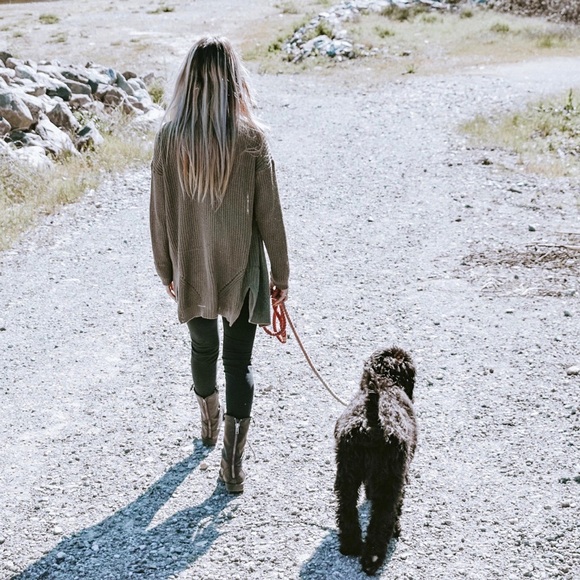 Meet your Posher, Ellie - Picture 4 of 4